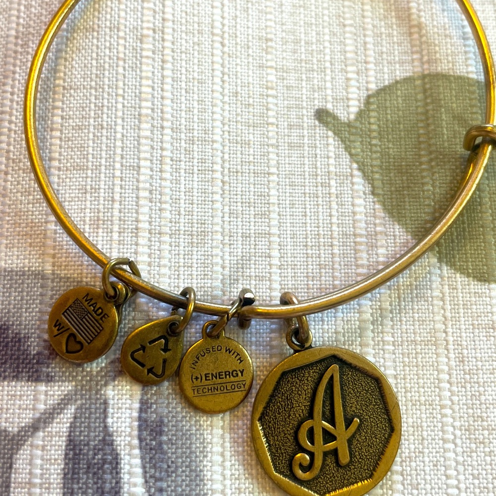 Alex and Ani charm bracelet